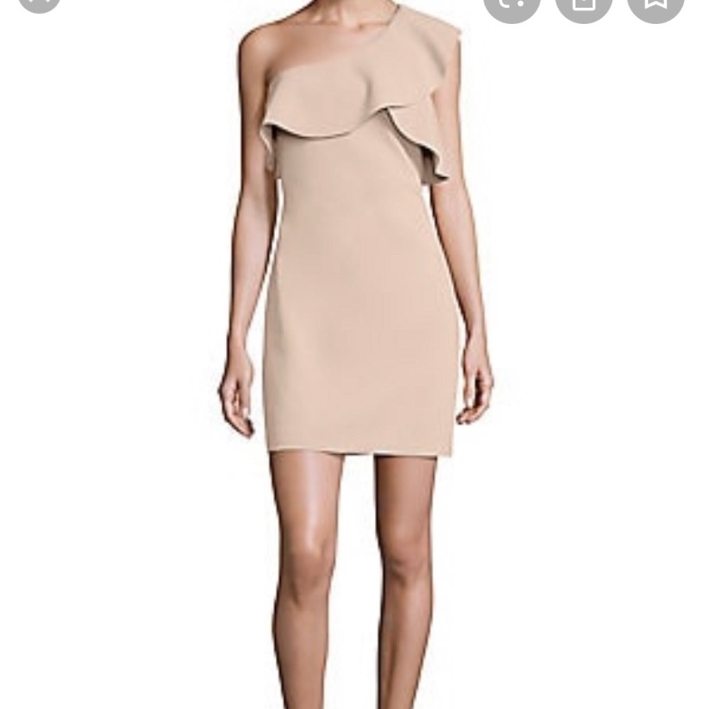 Elizabeth & James Jerard One Shoulder Dress 2